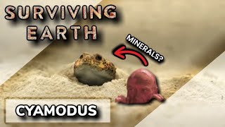CYAMODUS SCREENTIME | SURVIVING EARTH | NBC