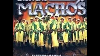 banda machos estaba sin vida.wmv