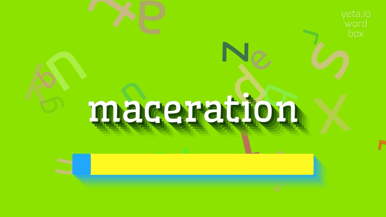 How to say "maceration"! (High Quality Voices) YouTube