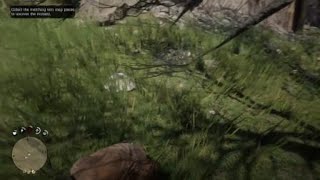 Dammit Roach!