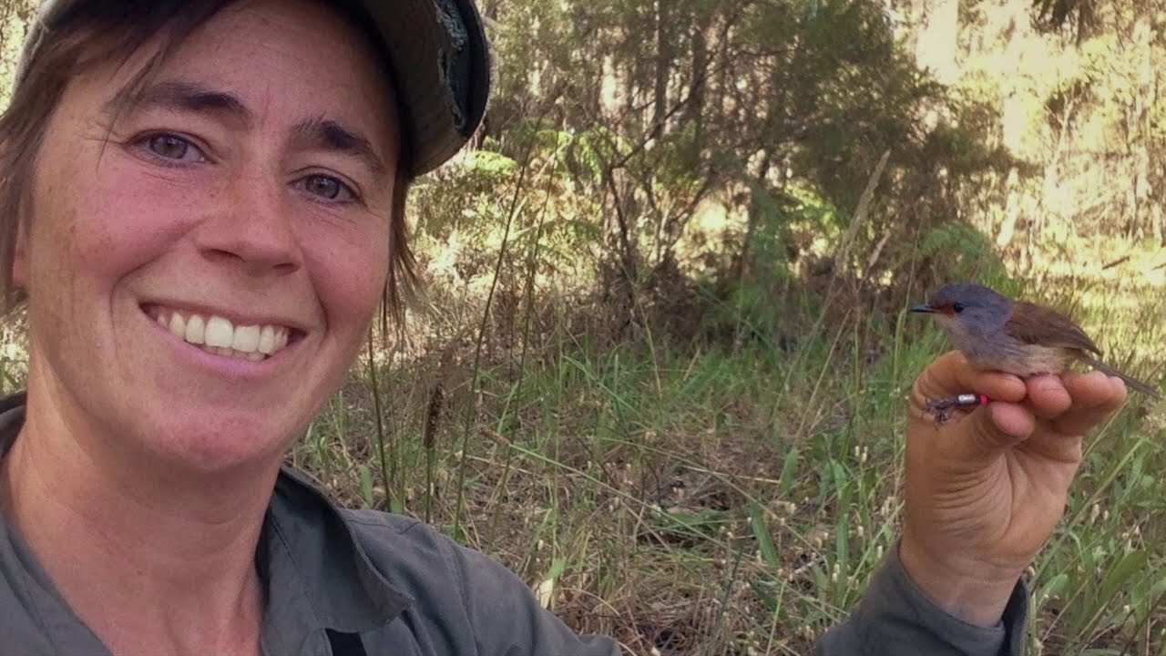 Meet our AAA Scholars