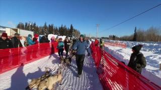 2017 Iditarod Re-Start - Peter Kaiser