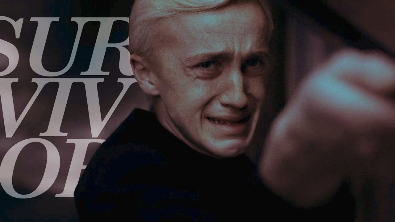 Survivor || Harry Potter