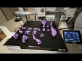 Space Girl - Final Printing