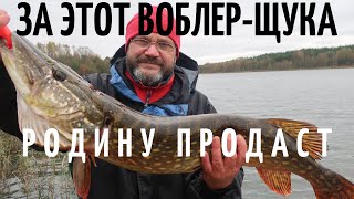 ЗА ЭТОТ ВОБЛЕР ЩУКА РОДИНУ ПРОДАСТ :)