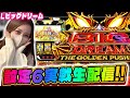 【新台Lビッグドリーム】設定6実践生配信！