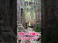 もし逃したら2度とないです!24時間後から良いことが次々と起きます!玉置神社 #パワースポット #遠隔参拝