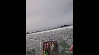 5 flies for surf perch fishing