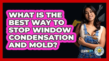 What Is The Best Way To Stop Window Condensation And Mold? - LearnToDIY360.com