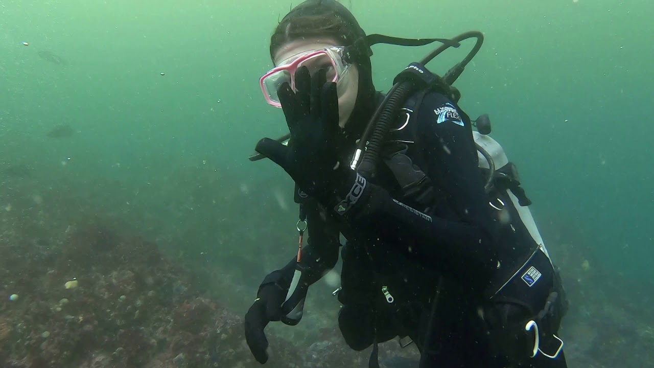 Scuba diving off a boat in Monterey California in June 2020 YouTube