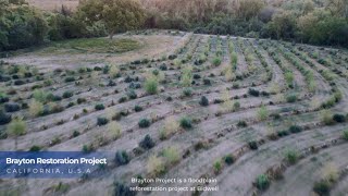 Procter & Gamble | Restoring Water in California: Brayton Restoration