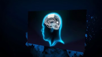 ICN2 - INPhINIT: Multifunctional neural probes based on bidimensional materials