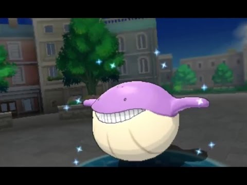 3ds ポケモン Oras Shiny Wailmer 色違い ホエルコ 色違 吼吼鯨 Youtube