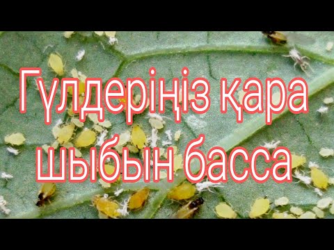Әкесі мен қызы туралы порно комикстері Далада секс кеші