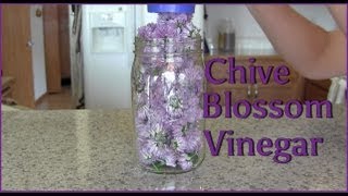 Making Chive Blossom Vineger