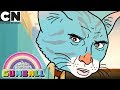 The Amazing World of Gumball | Sing the Survival Song | Cartoon Network