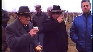 картинка: КОИЛОВЦИ -Трифон Зарезан-2000 година