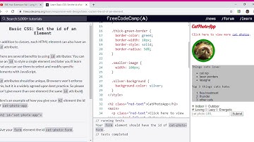 Learn Basic CSS  Set the id of an Element   freeCodeCamp org   Google Chrome 2019 11 26 13 23 49