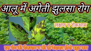 आलू में अगेती झुलसा|आलू में अगेती झुलसा रोग के लक्षण|early blight of potato|Potato blight control|