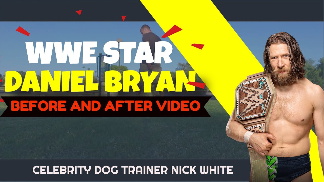 nick white dog trainer