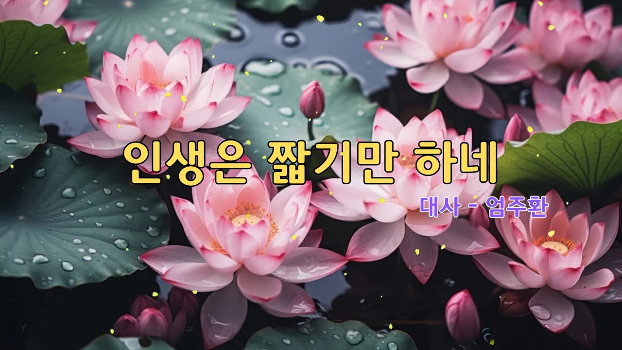 인생은 짧기만 하네  🙏 명상의 말씀