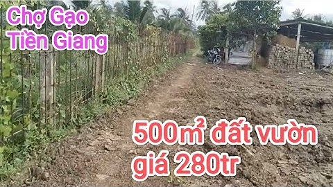 Tập 588. Bán 500㎡ đất vườn giá 280tr/lô. Huyện Chợ Gạo Tiền Giang