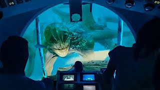 Top 10 Unsettling Discoveries In The Great Blue Hole