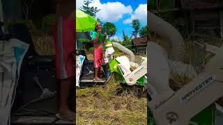 panen padi kombin mini pegasus harverter bikin operatornya nyanye hasilnya Joss.