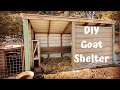 DIY Goat Shelter Made From Recycled Materials! | Kiko Goats!