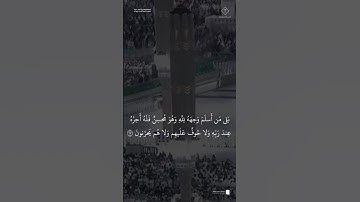 مقتطف من تلاوة فضيلة الشيخ #عبدالله_القرافي من صلاة الفجر الاثنين ٢ ربيع الأول ١٤٤٧هـ