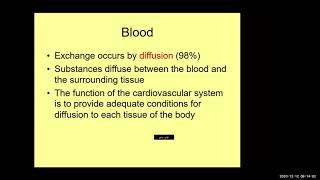 CVS - Session 1 - Lecture 1 - Introduction to the Cardiovascular Module