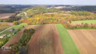 11377 Fawn Ln video tour