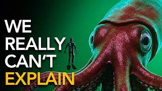 Nothing About Giant Squid Was Normal… Here's Why