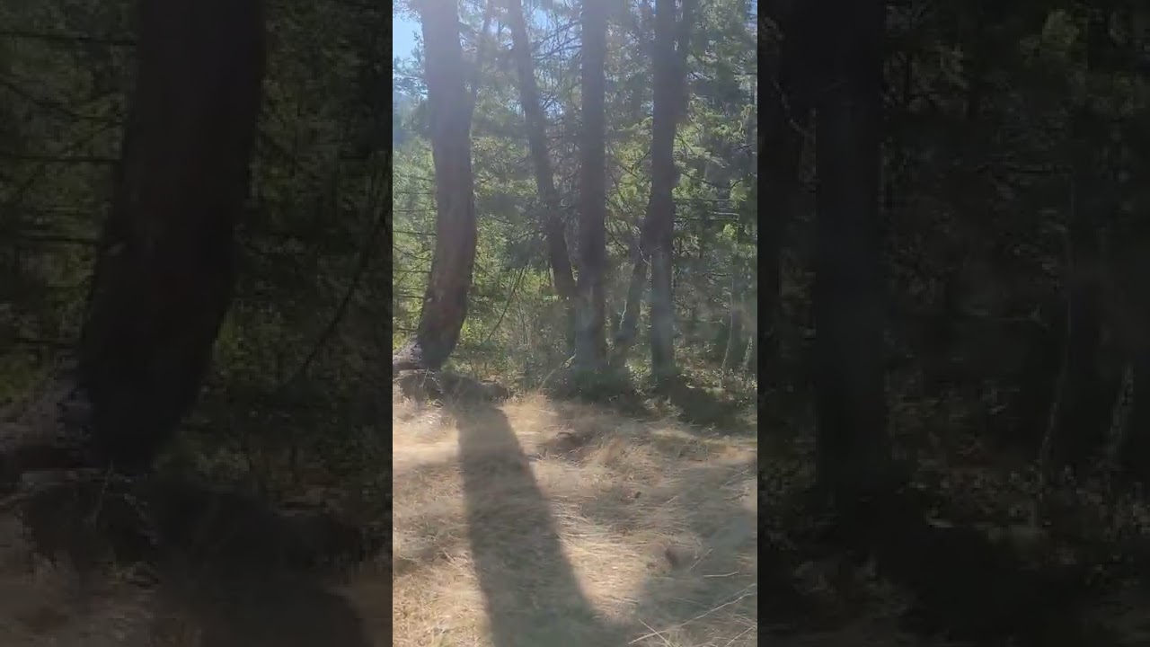 Beautiful Grace Lake Bc.