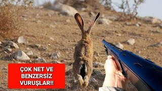 En Güzel Tavşan Ve Kekli̇k Avlari 2023-2024 Sezonu Full Hare Hunti̇ng Охота На Кролика صيد الأرانب