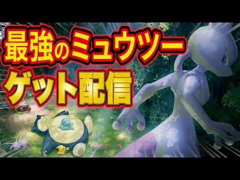 【ポケスリ】最強のミュウツーをゲットする伝説の睡眠リサーチ配信【ポケモンスリープ/Pokémon Sleep】