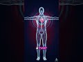The Power of Your Heart: The Most Resilient Machine!