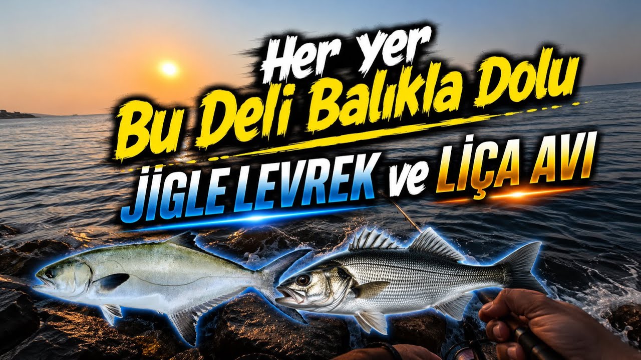 Her yer Bu Deli Balıkla Dolu! Jigle Levrek ve Liça Avları / Hanfish Slapjig