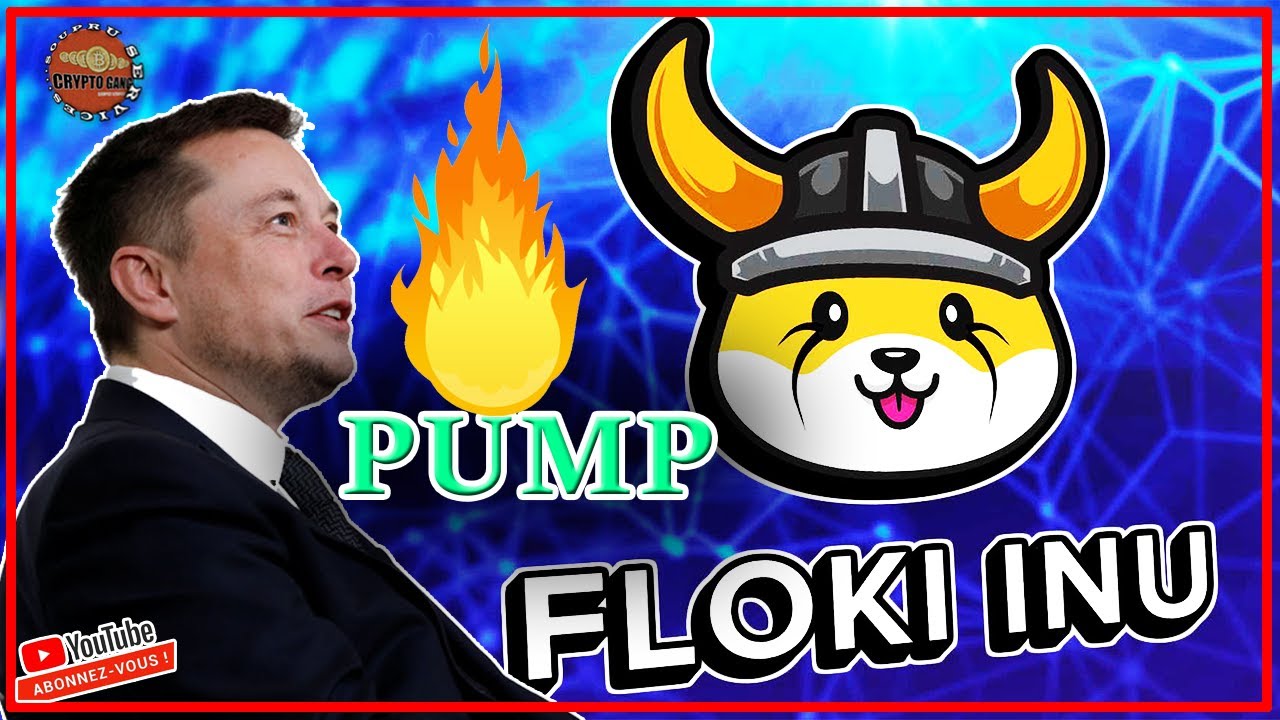 🔥 FLOKI INU (FLOKI) PUMP PLUS DE 10% - IFLUENCE DE ELON MUSK🔥