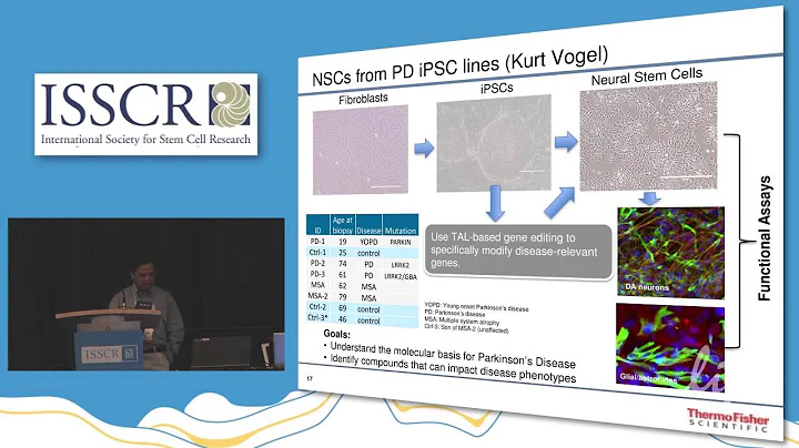 Efficient cell specific differentiation systems for iPSCs - DayDayNews