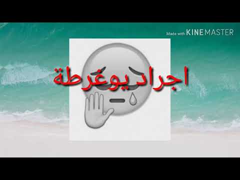 اجراد يوغرطة في مااشي بيدي