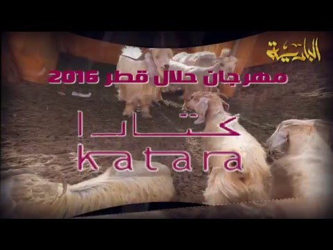 رسالة مهرجان حلال قطر ٢٠١٦ الاولى الجزء الثاني تغطية قناة البادية