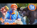 Blippi at the Zoo - Feeding the Animals | 1 HOUR BEST OF BLIPPI | Blippi Toys