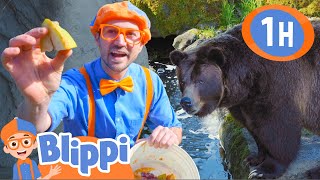 Blippi at the Zoo  Feeding the Animals | 1 HOUR BEST OF BLIPPI | Blippi Toys