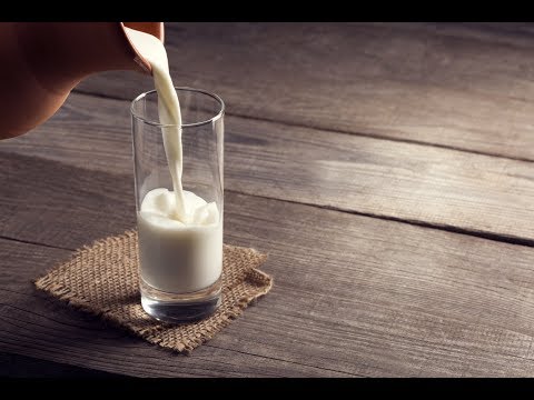 Le lait de cafard, le prochain superaliment à la mode ?