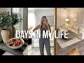 VLOG: Fall Decor Shopping, New Rug + Homegoods Haul!