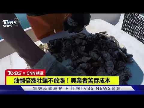 油翻倍漲牡蠣不敢漲！美業者苦吞成本｜TVBS新聞