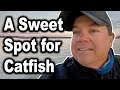 Catching Catfish When They&#39;re NOT ON SONAR - Catfish Bait Test - Lake Wateree Catfish