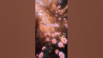 راحة نفسية و أجر لي ولكم إن شاء الله 🤍🌸 #قرآن #قران_كريم #خالي_من_الذنوب #استغفر_الله #سورة_الليل