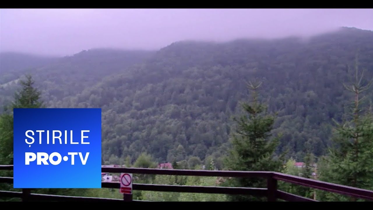 Stirile PRO TV - Oferte last minute pentru Craciun pro tv en vivo